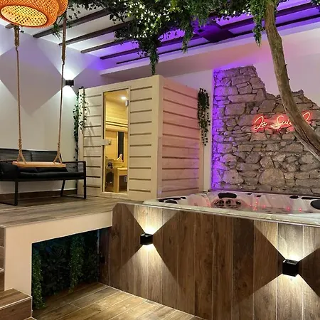 La 2 Jaccuzzi Et Sauna Privatif * غرونوبل